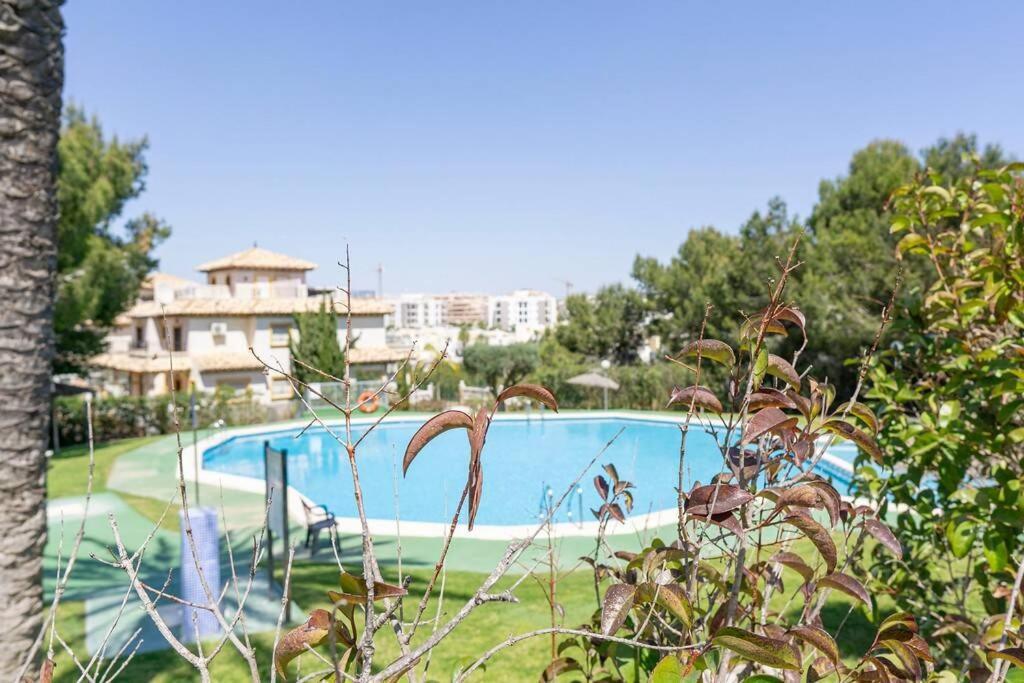 Casa Lilly-Rose, A Beautiful 3 Bedroom Detached Villa A Short Walk To The Villamartin Plaza & Golf Course Exteriör bild
